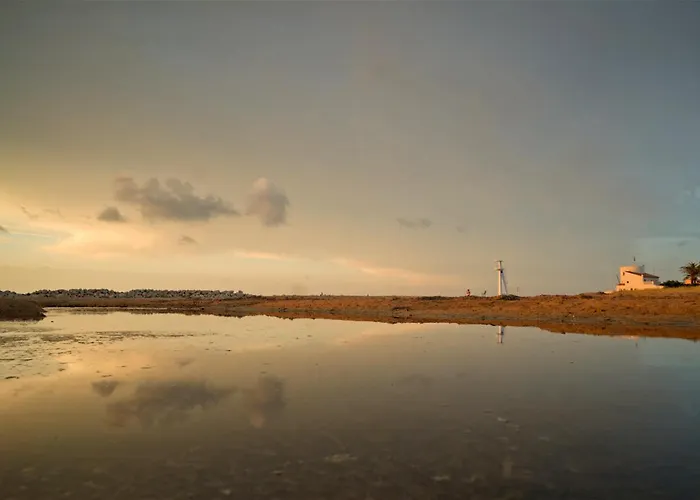 Molinell 3a En Primera Línea Del Mar Appartamento *